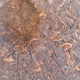 PUER CUIT GALETTE 200G