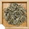 BAI HAO YIN ZHEN — EXTRA — 2024