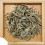 BAI HAO YIN ZHEN — EXTRA — 2024