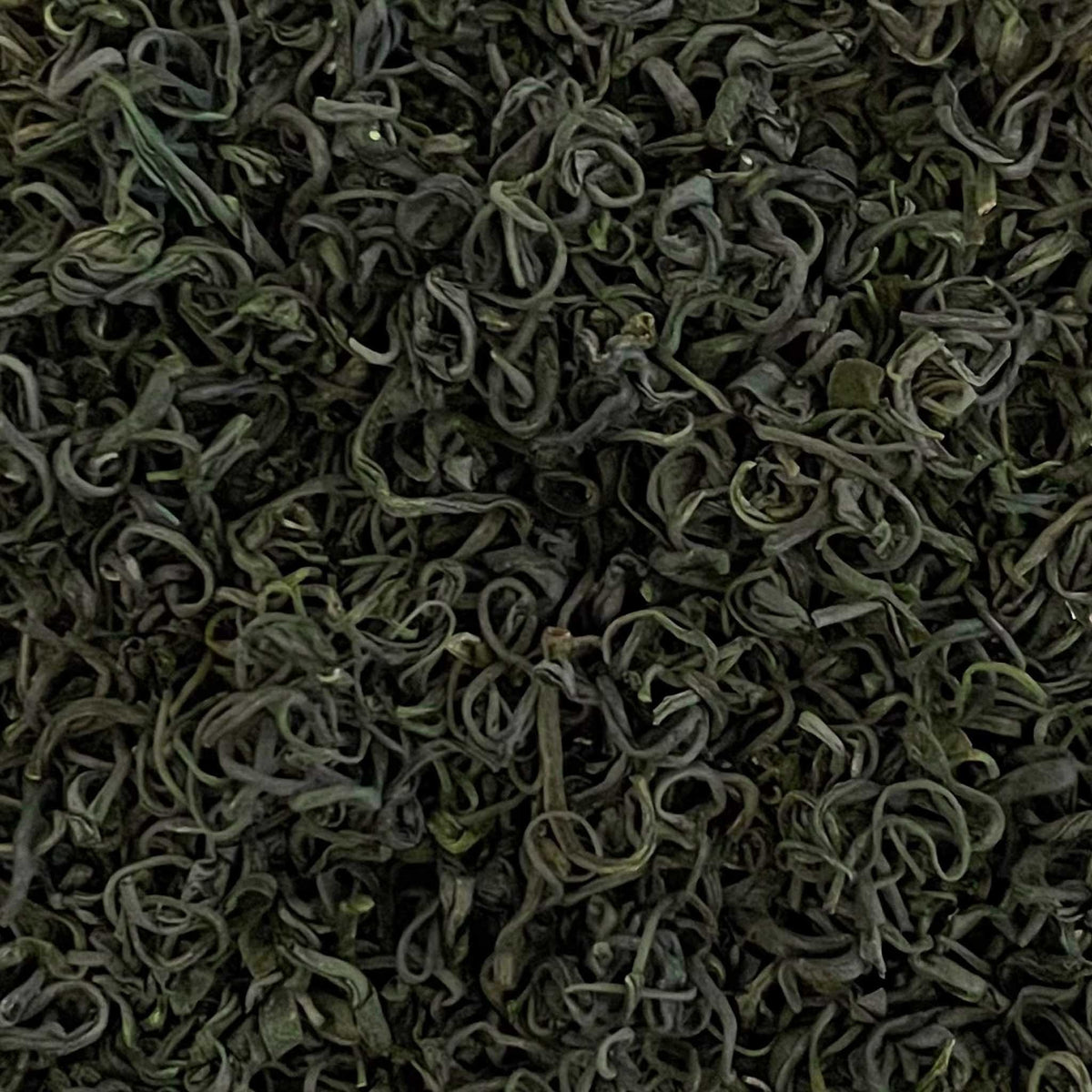 MAO JIAN — EXTRA